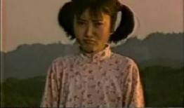 电视剧山野在线观看,探寻自然之美，共赴心灵之旅